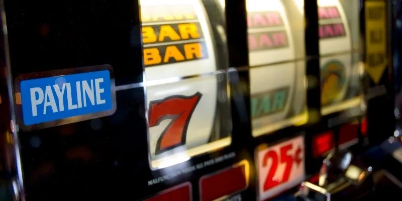 54074541 94fb 498e 879b 9c220316ab84 web